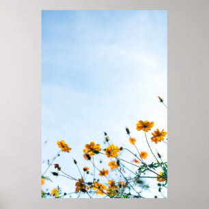 Poster Captura próxima das flores amarelas