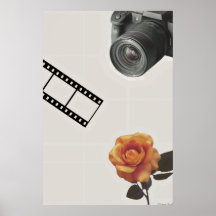 Capturado Bloom: Câmera, Filme & Colagem de Rosa