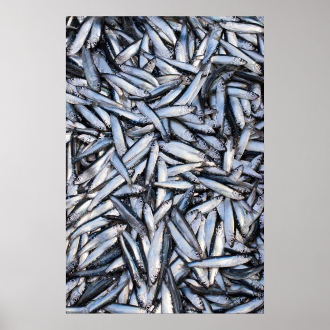 Poster Capturas (Frente)