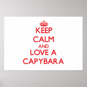 Poster Capybara