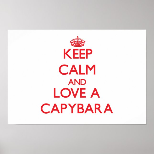 Poster Capybara (Frente)