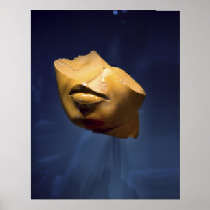 Pôster Cara do fragmento de uma rainha