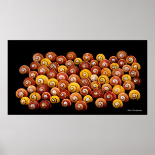 Poster Caracóis de Árvore Cubana