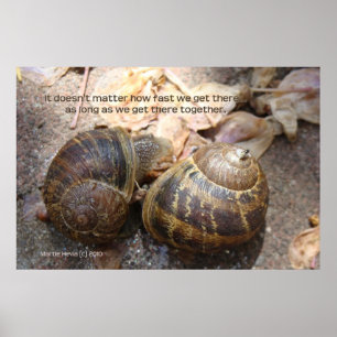 Pôster Caracóis no Amor