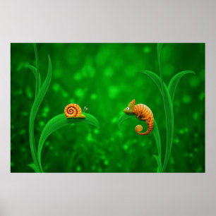 Poster Caracol e camaleão