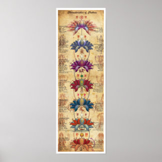 Poster Características do Chakras - Estilo Contrastivo