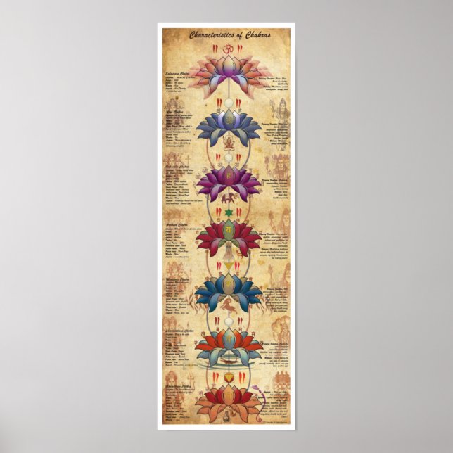 Poster Características do Chakras - Estilo Contrastivo (Frente)