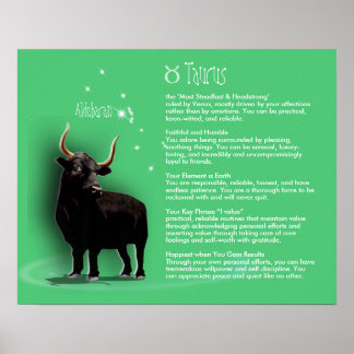 Poster Características do Taurus