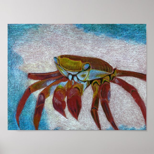 Poster Caranguejo (Frente)