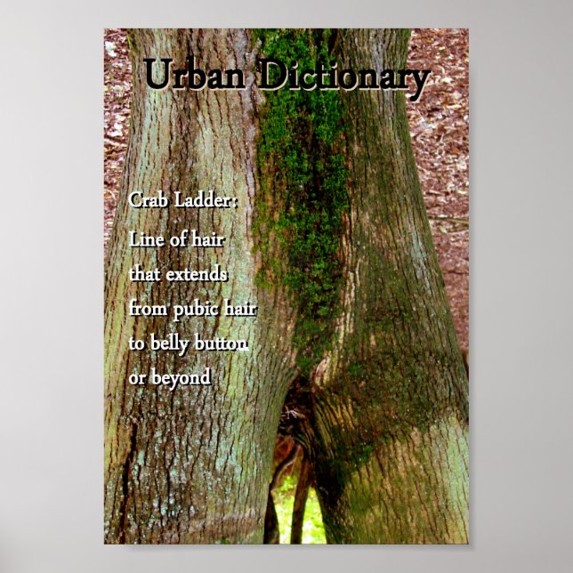 Pôster Caranguejo (Frente)