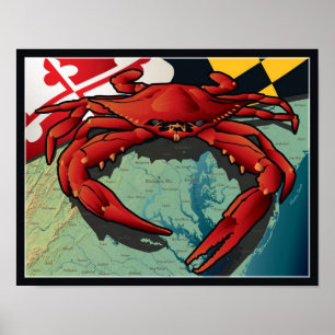 Pôster Caranguejo Cidadão de Maryland