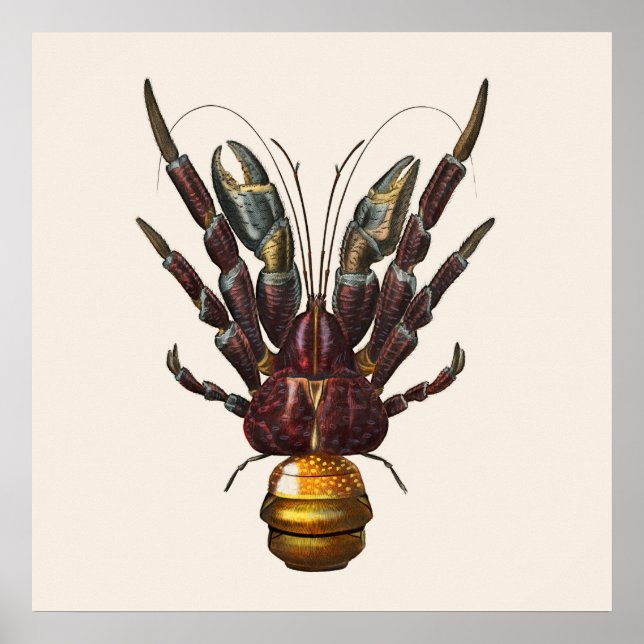 Poster Caranguejo de Coconut (Frente)