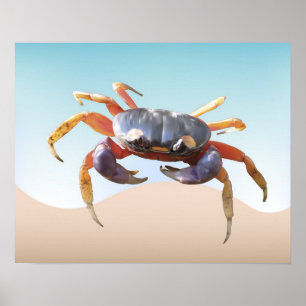 Poster Caranguejo na praia
