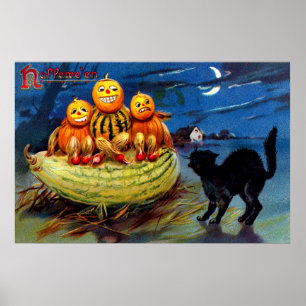 Poster Caráteres da abóbora e gato preto