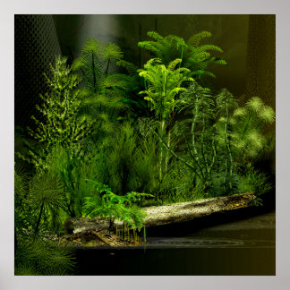 Pôster carbo deep forest 2