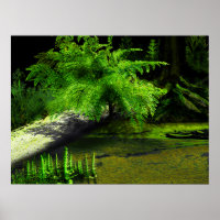 Carboniferous Fern