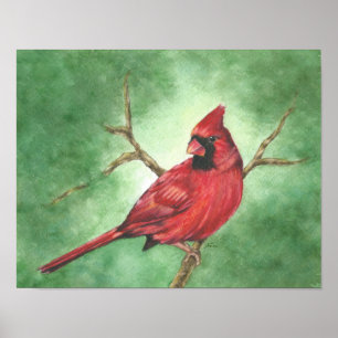 Poster Cardeal masculino vermelho na árvore