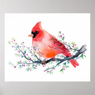 Poster Cardeal Vermelho de Aquarela no Berry Branch
