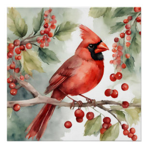 Pôster Cardeal Vermelho e Berries, a aquarela natalina