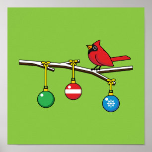 Poster Cardeal Vermelho no Ramal da Bare de Natal