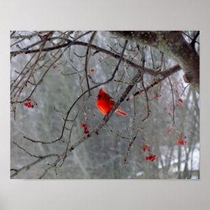 Poster cardinal