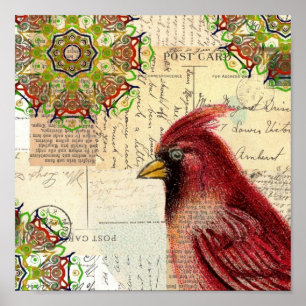 Pôster Cardinal e Cartão-postal