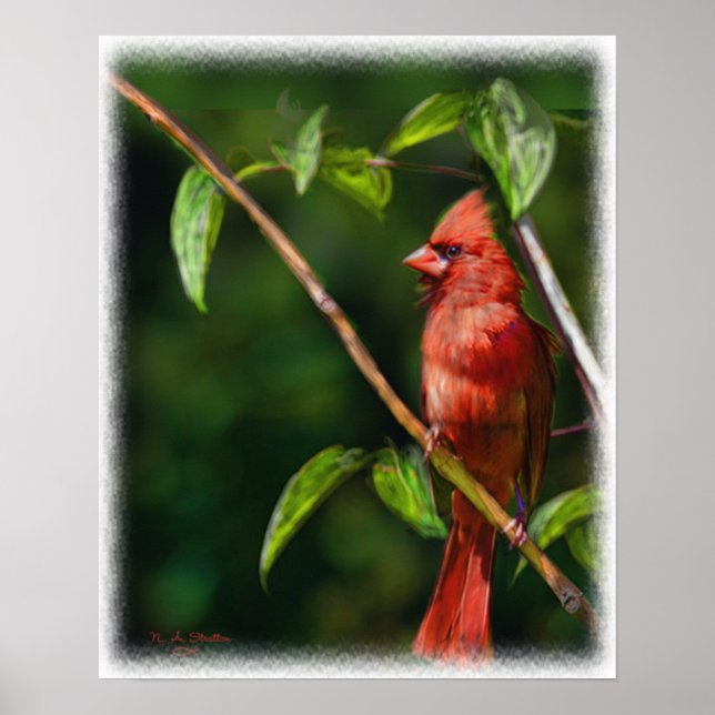 Poster Cardinal Vermelho (Frente)