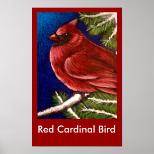 Poster CARDINAL VERMELHO do PÁSSARO