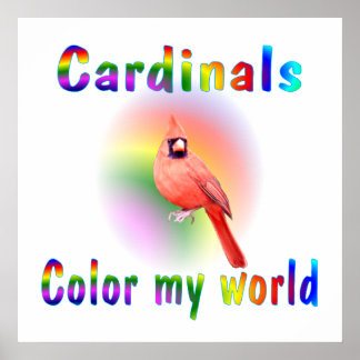 Pôster Cardinhos Cor Meu Mundo