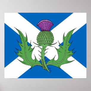 Pôster Cardo Escocês e Saltire