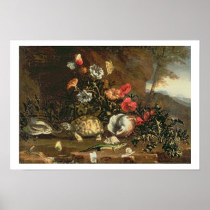 Pôster Cardos, flores, répteis e borboletas ao lado