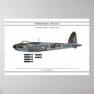 Pôster Carga de mosquito 2