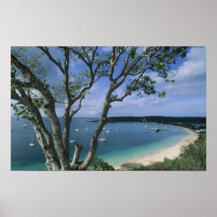 Pôster Caribe, Ilha de Anguilla, Porto da Baía da Estrada