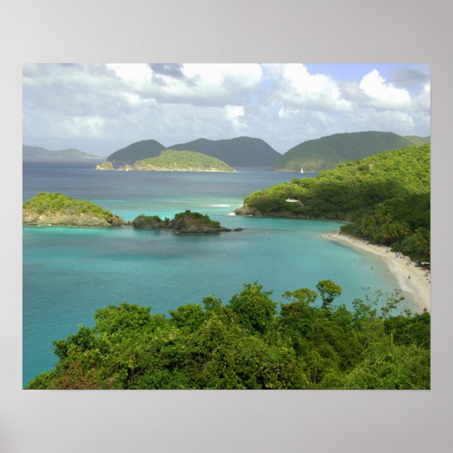 Pôster Caribe, Ilhas Virgens Americanas, St. John, Tronco (Frente)