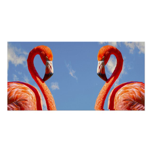 Pôster Caribe par flamingo (Frente)