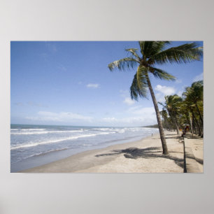Pôster Caribe - Trinidad - Praia Manzanilla em 2
