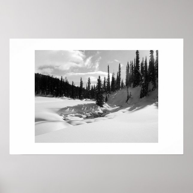 Poster Cariboos: Partida Pacífica (Frente)