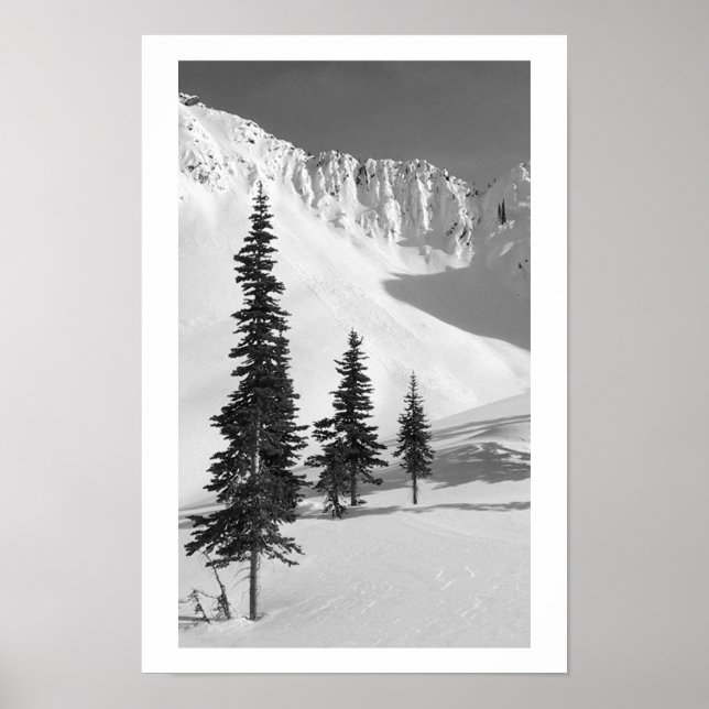 Pôster Cariboos: Pequeno Slide (Frente)