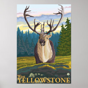 Pôster Caribou in the Wild - West Yellowstone, MT