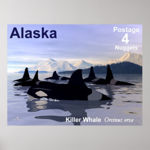 Poster Carimbo de Baleias Killer do Alaska