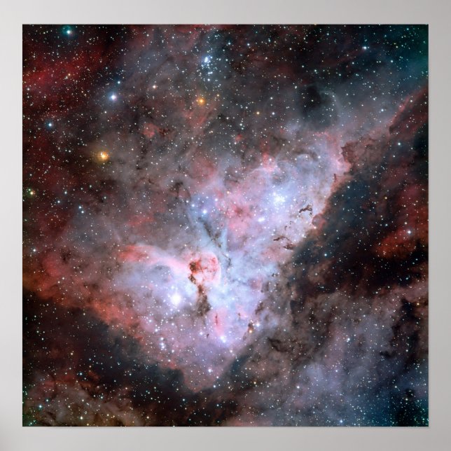 Pôster Carina (Frente)