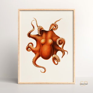 Poster Carl Chun Vintage Octopus Ilustração Marinha