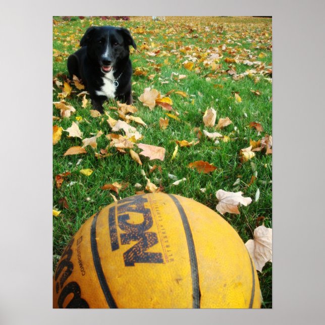 Pôster Carlee (Frente)