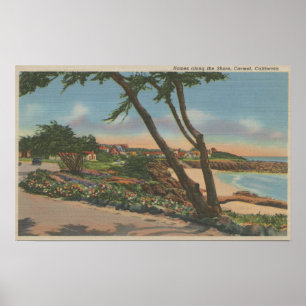 Poster Carmel, CA - casas ao longo da opinião da costa