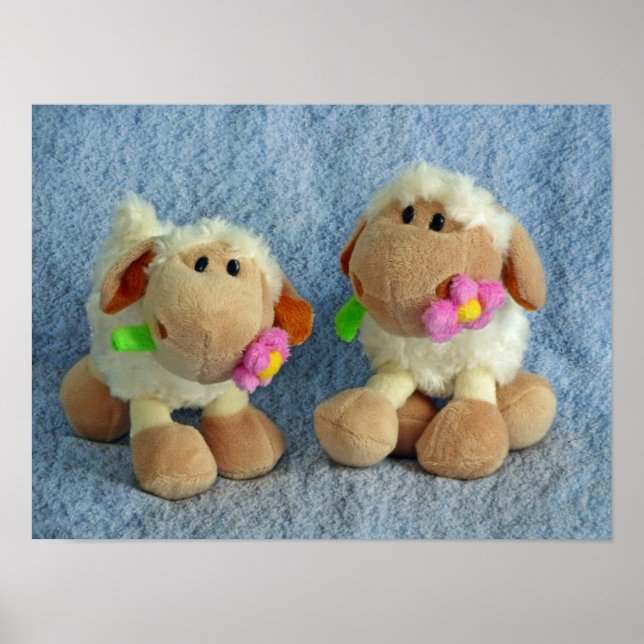 Pôster Carneiros (Frente)