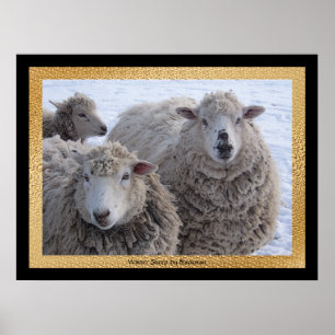 Poster Carneiros do inverno