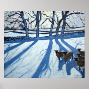 Pôster Carneiros na neve Derbyshire