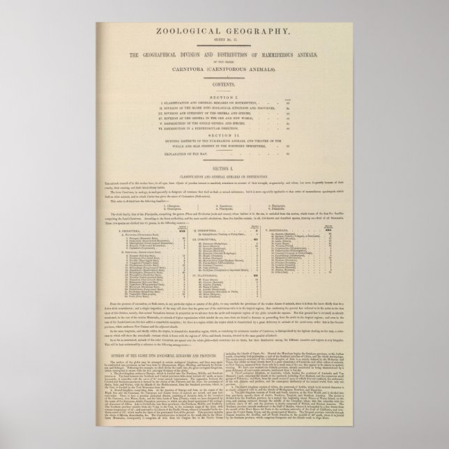Pôster Carnivora de Geografia Zoológica (Frente)