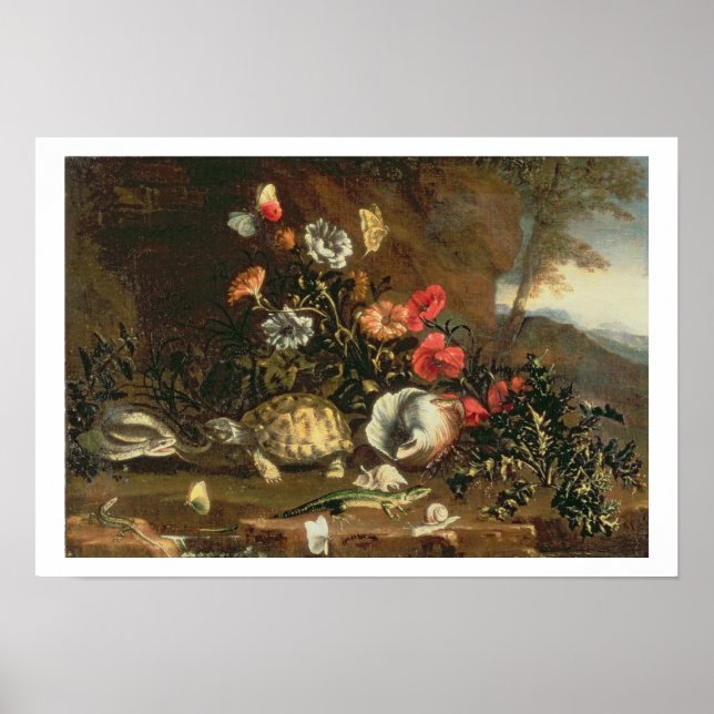 Pôster Caroços, flores, répteis e borboletas ao lado (Frente)