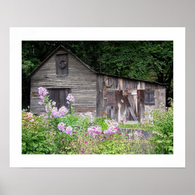 Poster Carolina Cabin (Frente)